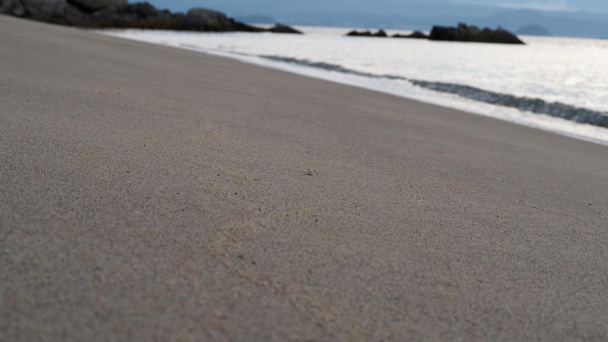 Alfacio Resort Stay Itoshima Eksteriør bilde